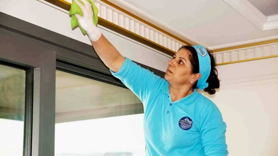 Ev Temizliği Şirketi